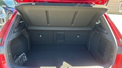KIA K4 1.0T-GDi 115 48V GT-Line S 5dr DCT 5354808