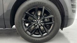 2025 (25) LAND ROVER RANGE ROVER EVOQUE 2.0 D200 Edition 5dr Auto 5537821