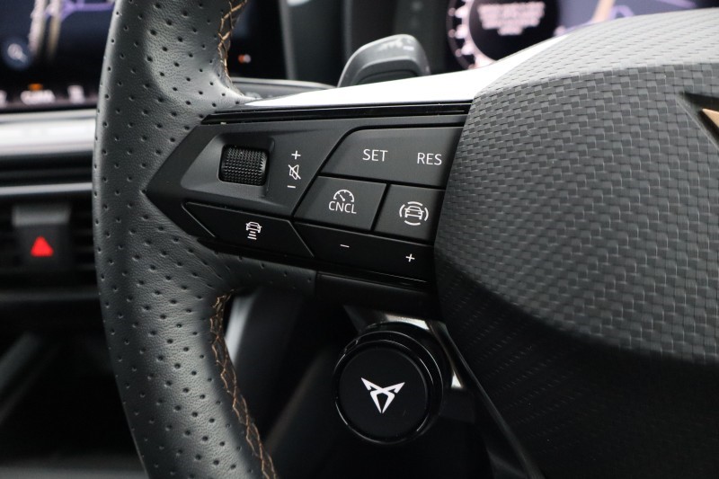 2025 (25) CUPRA FORMENTOR 2.0 TSI 333 VZ3 5dr DSG 4Drive 5595156