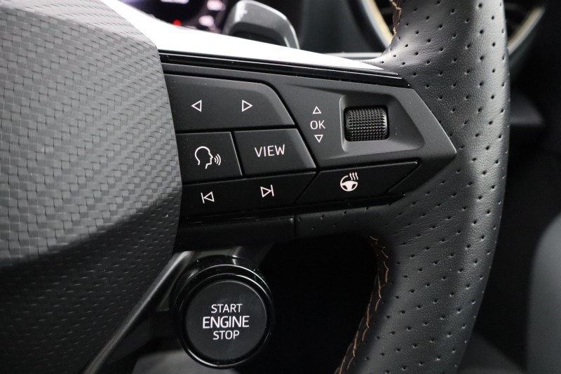 2025 (25) CUPRA FORMENTOR 2.0 TSI 333 VZ3 5dr DSG 4Drive 5595157
