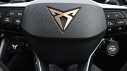 2025 (25) CUPRA FORMENTOR 2.0 TSI 333 VZ3 5dr DSG 4Drive 5595158