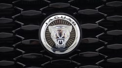 2023 (23) JAGUAR F-PACE 2.0 P250 R-Dynamic SE Black 5dr Auto AWD 5612789