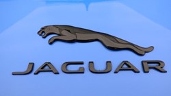 2021 (21) JAGUAR F-TYPE 2.0 P300 Reims Edition 2dr Auto 5627067