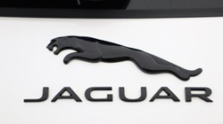 2024 (24) JAGUAR F-PACE 2.0 D200 R-Dynamic SE Black 5dr Auto AWD 5683009