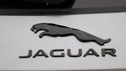 2024 (24) JAGUAR F-PACE 2.0 D200 R-Dynamic SE Black 5dr Auto AWD 5694206