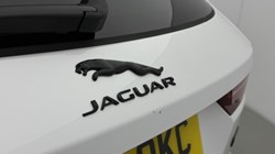 2024 (74) JAGUAR F-PACE 2.0 D200 R-Dynamic SE Black 90th Anniv 5dr Auto 5991439
