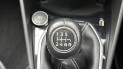 2019 (19) FORD FIESTA 1.0 EcoBoost 125 Titanium 5dr 3336541