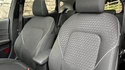 2019 (19) FORD FIESTA 1.0 EcoBoost 125 Titanium 5dr 3336558