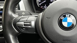 2019 (19) BMW 1 SERIES 116d M Sport Shadow Ed 5dr 3476209