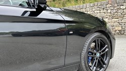 2019 (19) BMW 1 SERIES 116d M Sport Shadow Ed 5dr 3476256