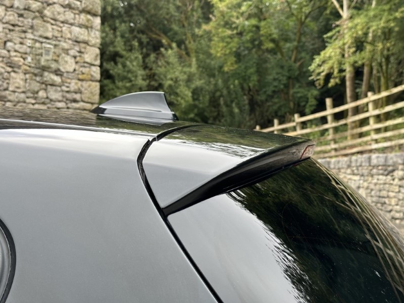 2019 (19) BMW 1 SERIES 116d M Sport Shadow Ed 5dr 3476228