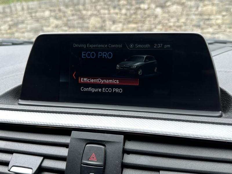 2019 (19) BMW 1 SERIES 116d M Sport Shadow Ed 5dr 3476239