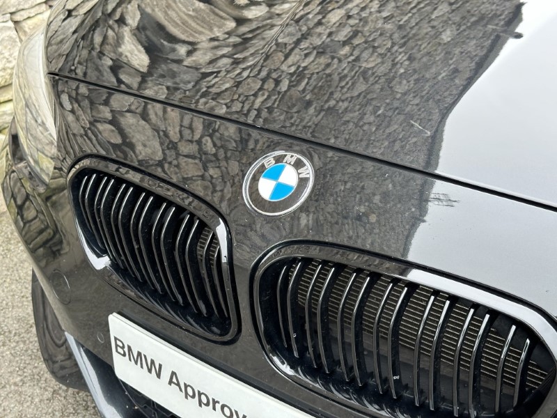 2019 (19) BMW 1 SERIES 116d M Sport Shadow Ed 5dr 3476214