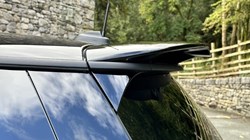 2024 (24) MINI HATCHBACK 1.5 Cooper Sport Premium 3dr Auto 3548566