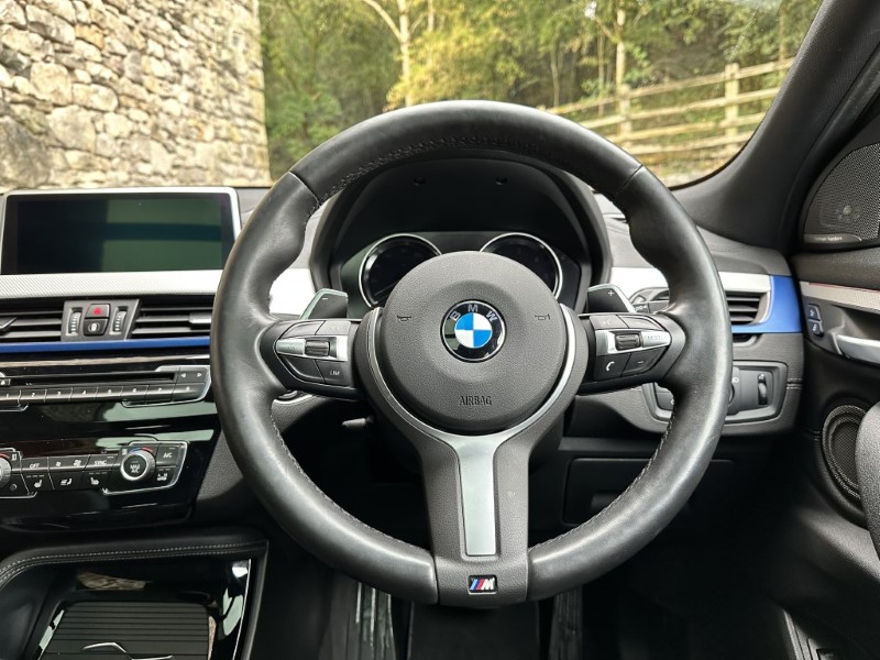 2019 (19) BMW X2 xDrive 20d M Sport 5dr  3579248