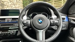 2019 (19) BMW X2 xDrive 20d M Sport 5dr 3579248