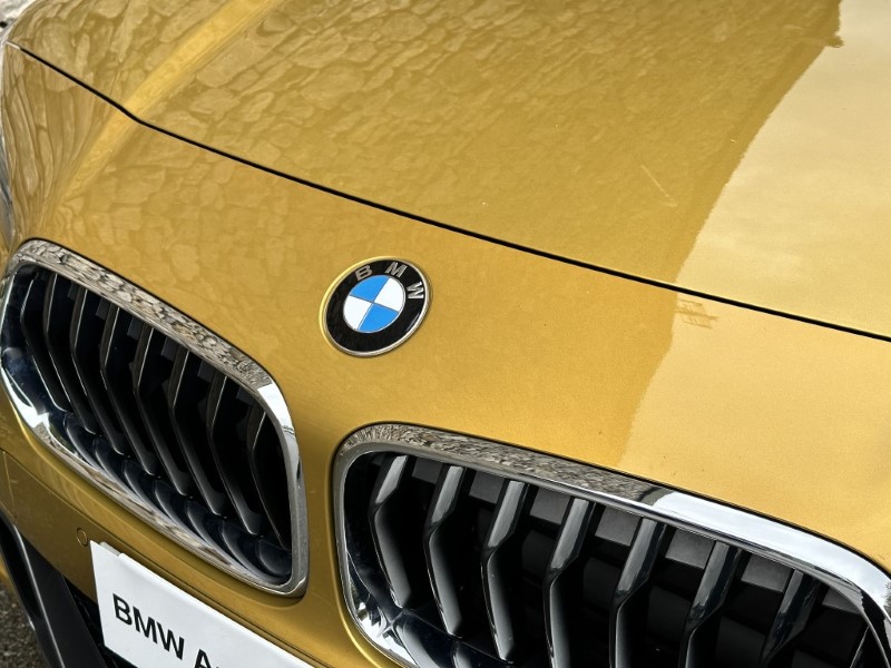 2019 (19) BMW X2 xDrive 20d M Sport 5dr  3579188