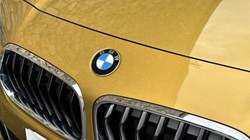 2019 (19) BMW X2 xDrive 20d M Sport 5dr 3579188