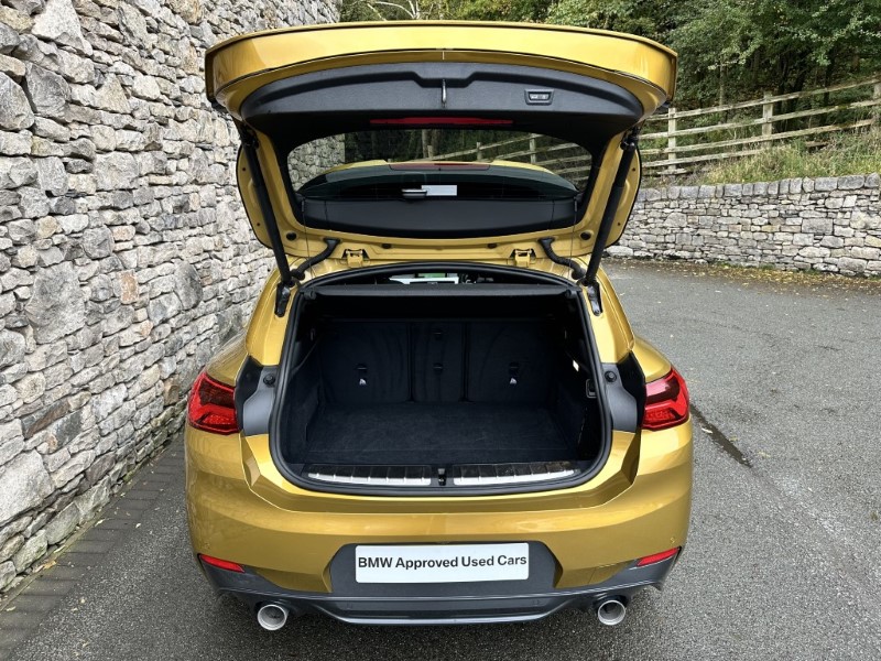 2019 (19) BMW X2 xDrive 20d M Sport 5dr  3579185