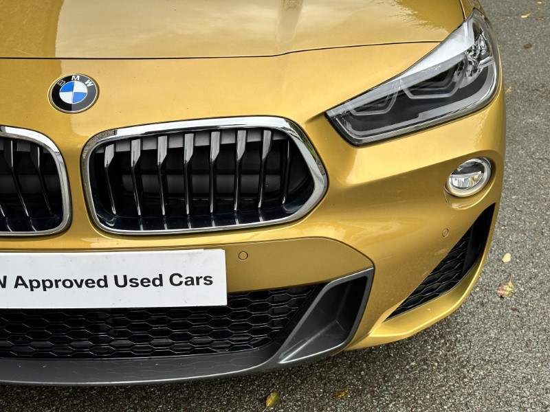 2019 (19) BMW X2 xDrive 20d M Sport 5dr  3579187
