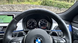 2019 (19) BMW X2 xDrive 20d M Sport 5dr 3579215