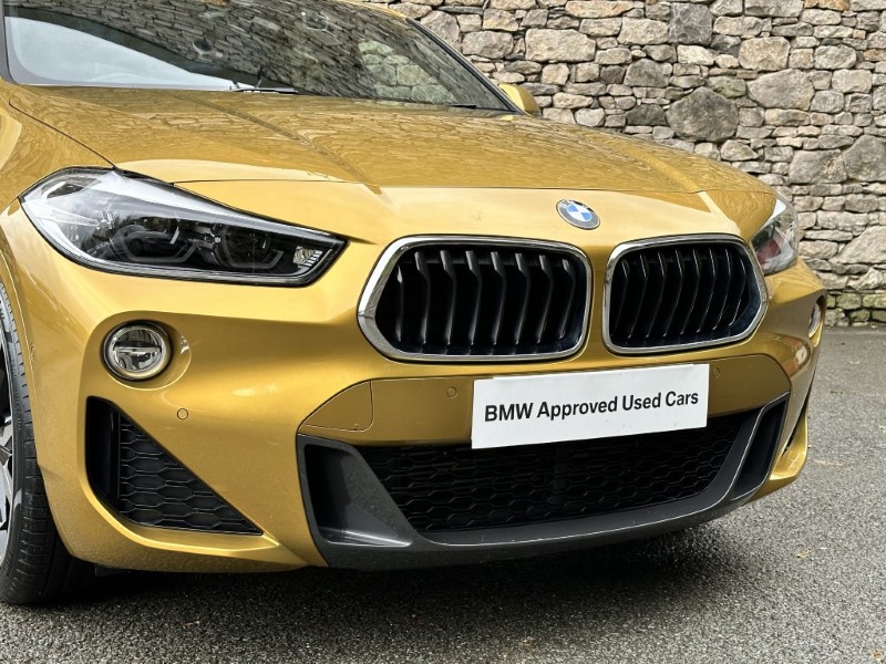 2019 (19) BMW X2 xDrive 20d M Sport 5dr  3579218