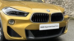 2019 (19) BMW X2 xDrive 20d M Sport 5dr 3579218