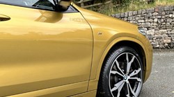 2019 (19) BMW X2 xDrive 20d M Sport 5dr 3579231