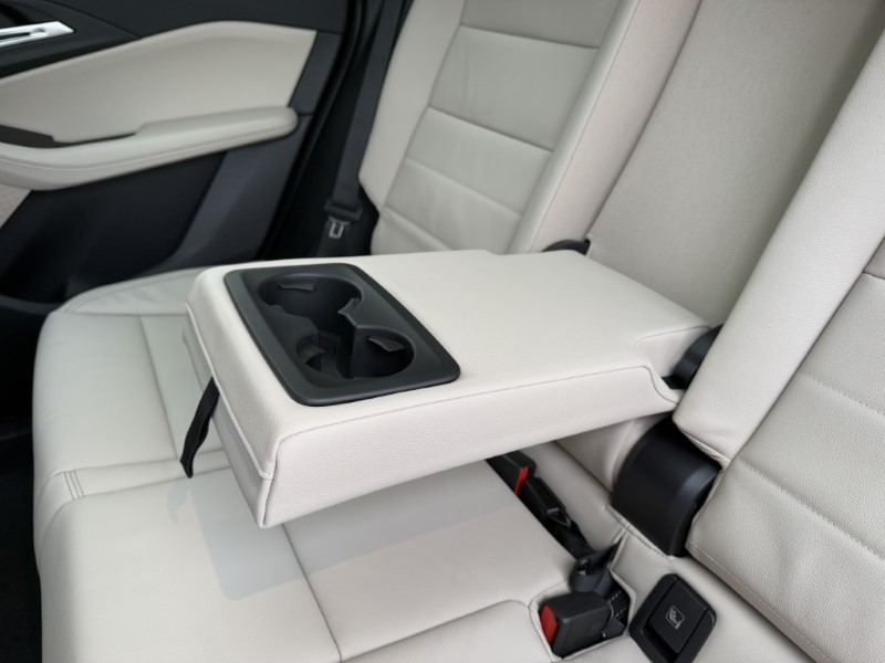 2025 (74) BMW 2 SERIES 230e xDrive Luxury 5dr DCT 3896112