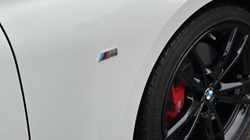 2022 (22) BMW 2 SERIES 220i M Sport 2dr Coupe 4779026