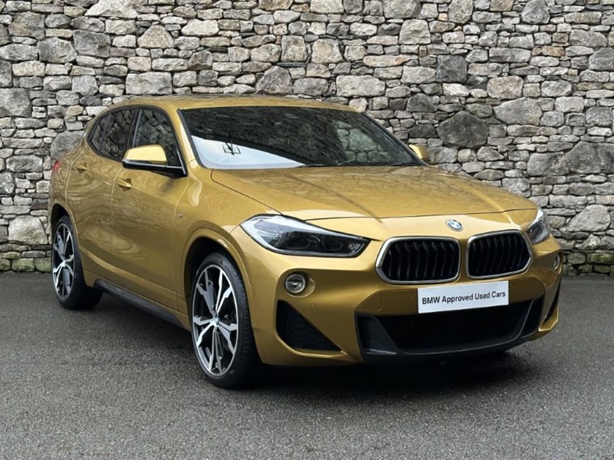 2019 (19) BMW X2 xDrive 20d M Sport 5dr
