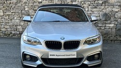 2015 (15) BMW 2 SERIES 220d M Sport Convertible 4783397