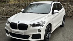 2017 (17) BMW X1 xDrive 20d M Sport 5dr 4885305