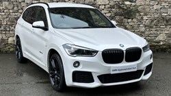 2017 (17) BMW X1 xDrive 20d M Sport 5dr 4885308