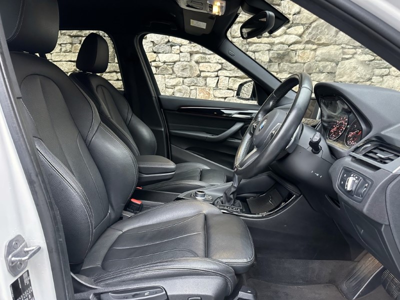 2017 (17) BMW X1 xDrive 20d M Sport 5dr 4885253