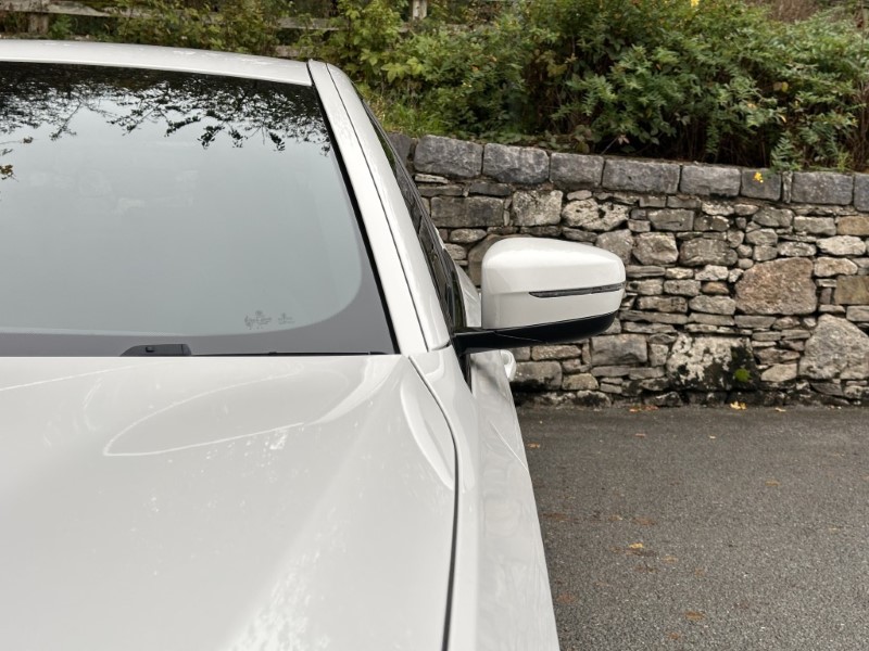 2019 (68) BMW 5 SERIES 530e M Sport Saloon  4834293