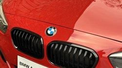 2019 (19) BMW 1 SERIES 118i M Sport Shadow Edition 5dr 4895831