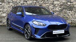 2025 (25) BMW 1 SERIES 120 M Sport 5dr 4993231