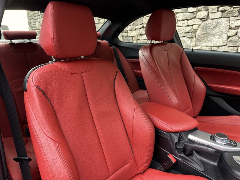 2019 (69) BMW 2 SERIES 230i M Sport 2dr Coupe 5080621