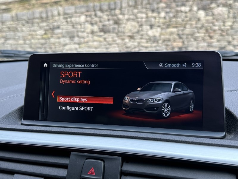 2019 (69) BMW 2 SERIES 230i M Sport 2dr Coupe 5080660