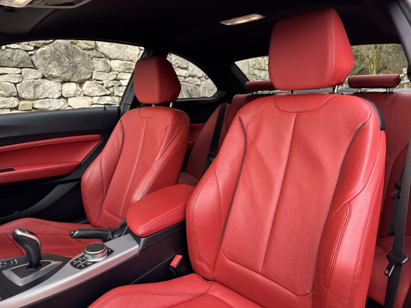 2019 (69) BMW 2 SERIES 230i M Sport 2dr Coupe 5080644