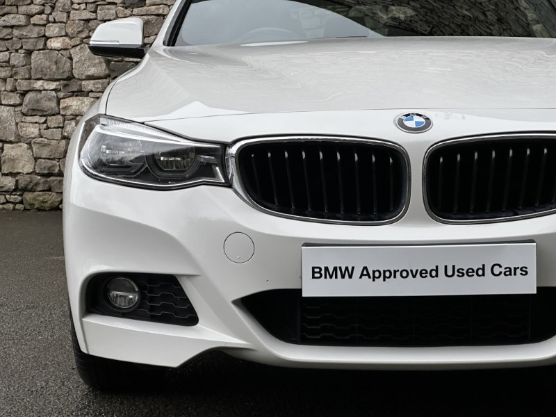 2019 (19) BMW 3 SERIES 320i M Sport 5dr Gran Turismo [Business Media] 5035025