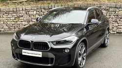 2019 (19) BMW X2 xDrive 20i M Sport X 5dr 5044682