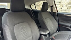 2019 (19) FORD FOCUS 1.0 EcoBoost 125 Active Auto 5dr 5062763