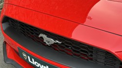 2018 (68) FORD MUSTANG 2.3 EcoBoost 2dr Auto 5062952