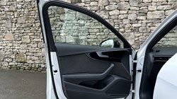 2020 (20) AUDI A4 35 TFSI Black Edition 5dr 5041569