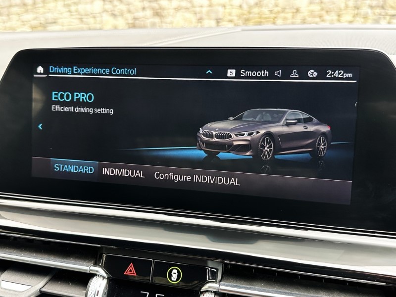 2019 (19) BMW 8 SERIES M850i xDrive 2dr Auto 5148690