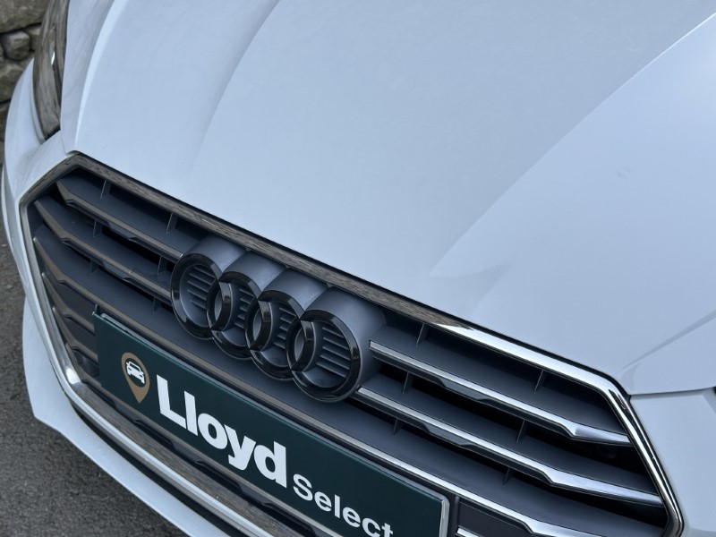 2019 (19) AUDI A5 40 TFSI S Line 2dr S Tronic 5207088