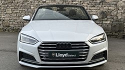 2019 (19) AUDI A5 40 TFSI S Line 2dr S Tronic 5207125