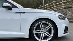 2019 (19) AUDI A5 40 TFSI S Line 2dr S Tronic 5207119